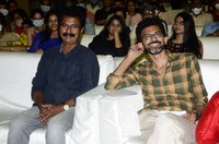 Love Story Magical Success Meet